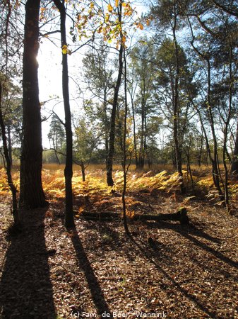 211024_110346-IMG_5875.JPG