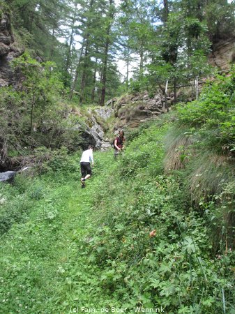 210726_133852-IMG_5167.JPG