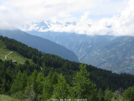 210731_125122-IMG_5304.JPG