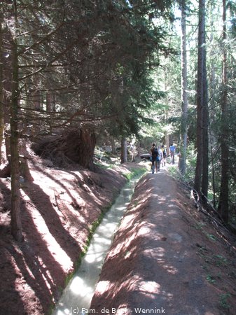 210809_121925-IMG_5734.JPG
