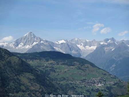 210809_163004-IMG_5779.JPG