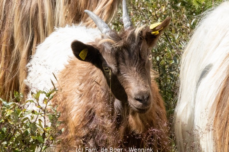 210809_153024-IMG_3512.jpg