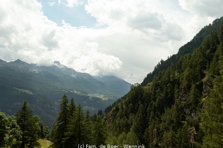 210726_131722-IMG_1244.jpg