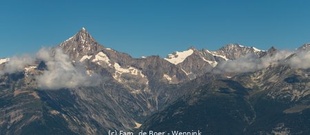 210729_123751-IMG_1671.jpg