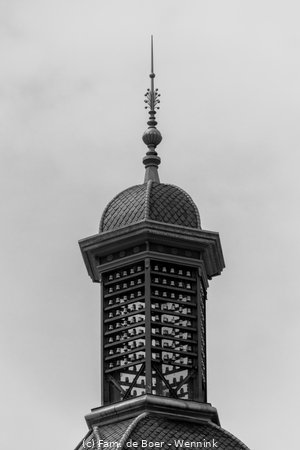 210803_130731-IMG_2395.jpg
