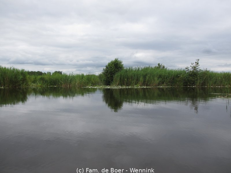 220722_140819-IMG_6876.JPG