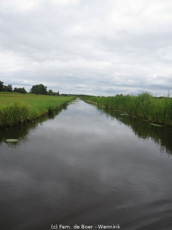 220722_143318-IMG_6890.JPG