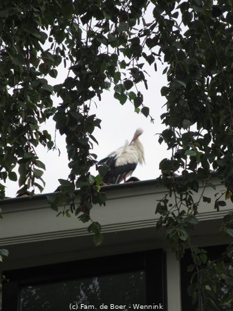 220722_174751-IMG_6959.JPG