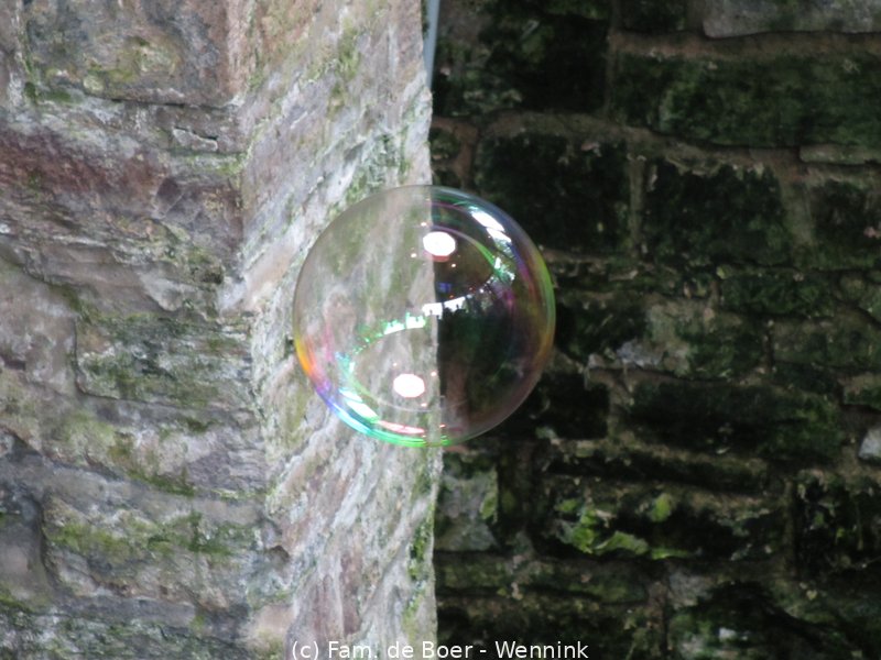 220911_145410-IMG_7138.JPG