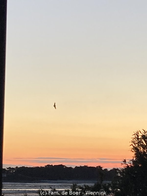 220529_223025-220529-223025_024.JPG