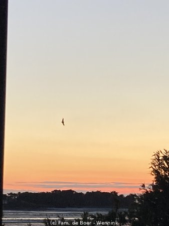 220529_223025-220529-223025_024.JPG