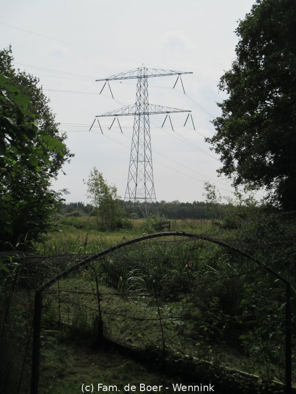 230811_145223-IMG_7636.JPG