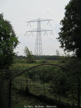 230811_145223-IMG_7636.JPG