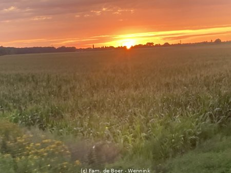 230816_205331-IMG_6913.jpg