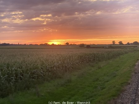 230816_205402-IMG_6917.jpg