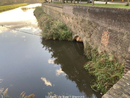 231019_174454-IMG_7393.jpg