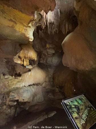 231125_132318-53022c4b-c25b-46cd-b163-696f8567461c.JPG
