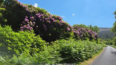 230604_142142-142141.jpg