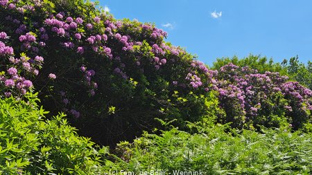 230604_142147-142147.jpg