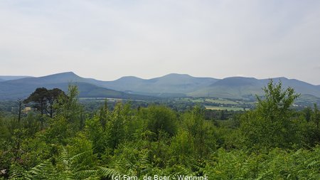 230608_114003-114003.jpg