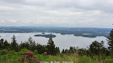 230615_113436-113436.jpg