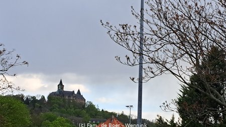 240421_183101-183101.jpg