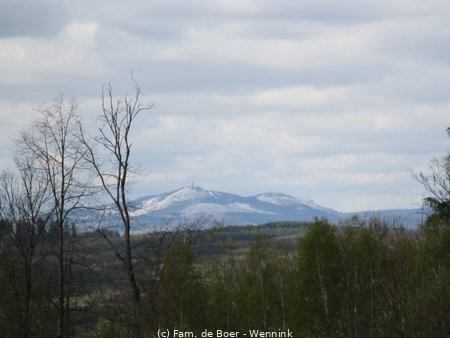 240422_124458-IMG_7754.JPG