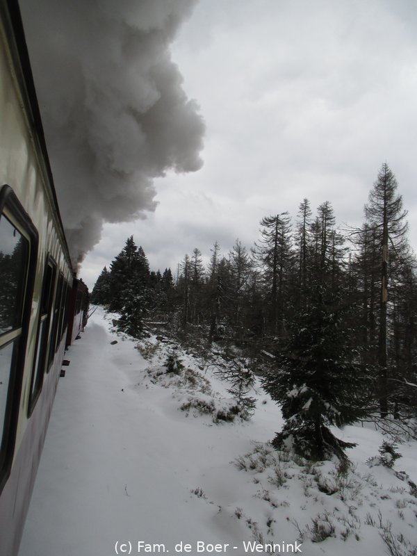 240423_120224-IMG_7785.JPG