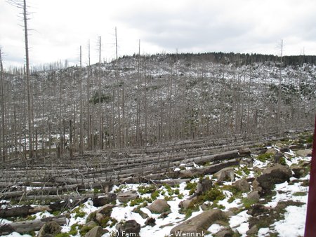 240423_115033-IMG_7775.JPG