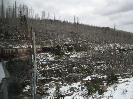 240423_165137-IMG_7814.JPG