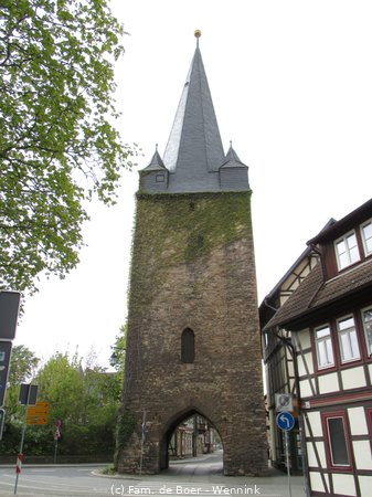 240424_125535-IMG_7849.JPG