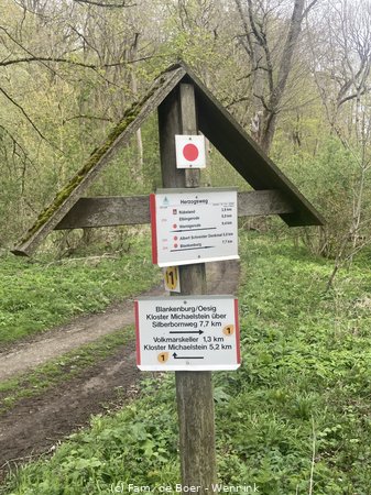240425_130326-IMG_8522.jpg