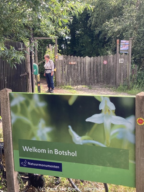 240623_120054-IMG_8796.jpg