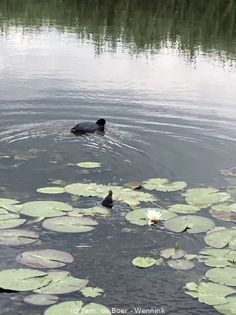240623_131316-IMG_8812.jpg