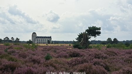 240818_123256-20240818_123256.jpg