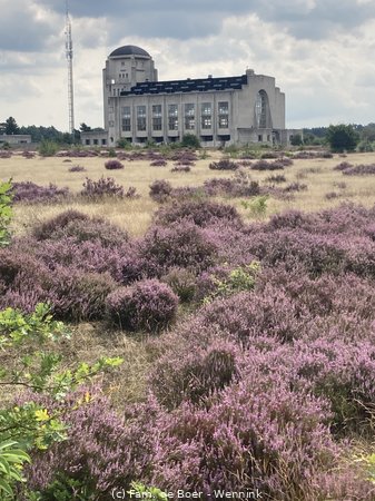 240818_124742-IMG_9636.JPG