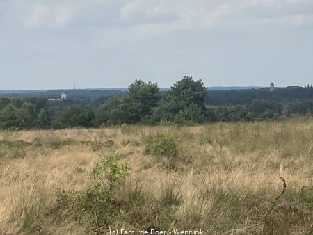240818_145600-IMG_9644.JPG