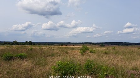 240818_145632-20240818_145631.jpg