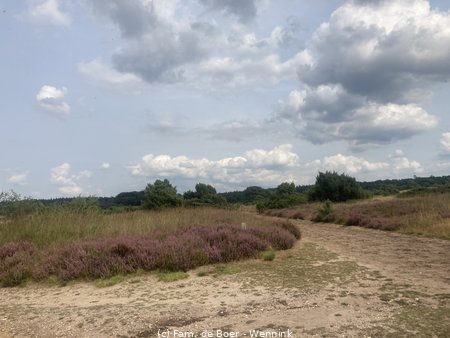 240818_151118-IMG_9646.JPG