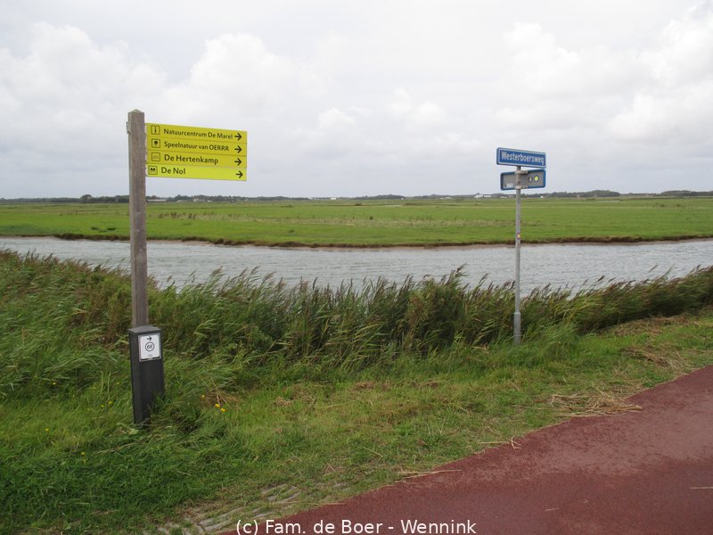 240910_154620-IMG_8708.JPG