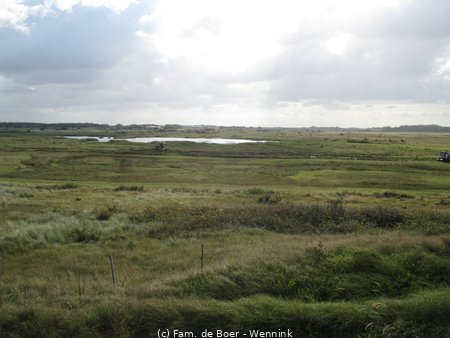 240910_103045-IMG_8669.JPG