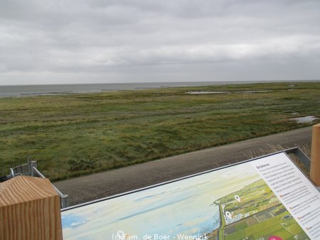 240910_122803-IMG_8693.JPG