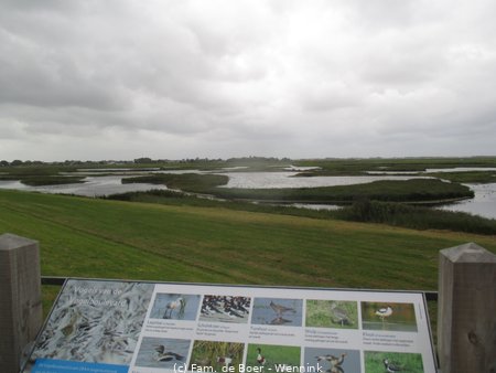 240910_124336-IMG_8696.JPG