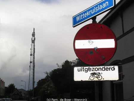 240911_153512-IMG_8732.JPG