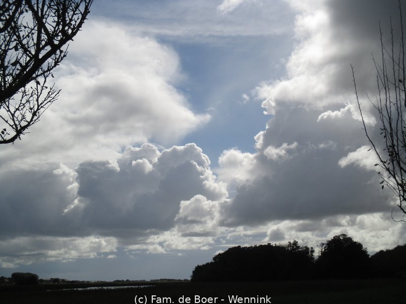 240912_154330-IMG_8761.JPG