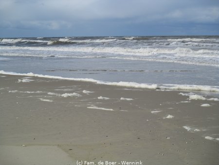 240912_114608-IMG_8757.JPG