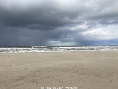 240912_114945-IMG_9861.JPG