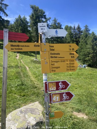 240702_145721-IMG_8951.JPG