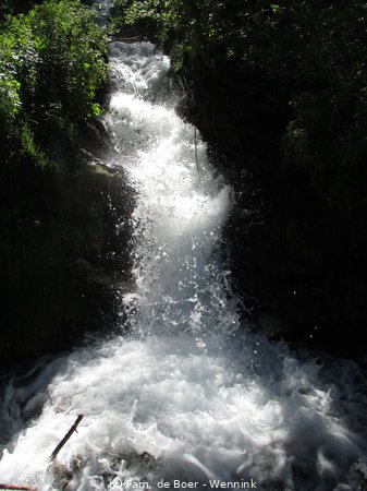 240704_165829-IMG_8059.JPG