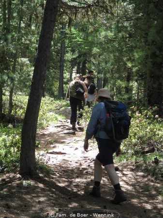 240705_122057-IMG_8083.JPG